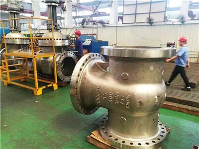 Large Diameter Gate Valve Workshop