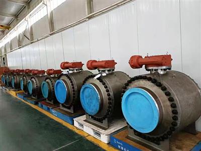 Trunnion Ball Valve Workshop