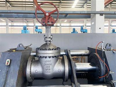 Gate Valve Inspection