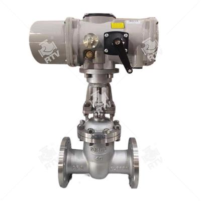 Electric Gate valve