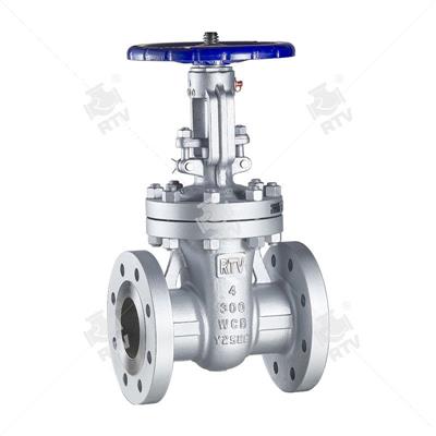 Carbon steel gate valve