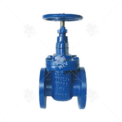 DIN F4 Rising Stem Gate Valve