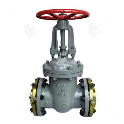 DIN F5 Rising Stem Gate Valve