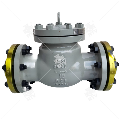 GOST9544 Check valve