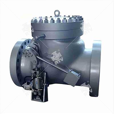 Swing Check Valve Whith Lever Counter Weight Hydraulic Damping Cylinder