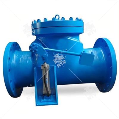 DIN Swing Check Valve with Cylinder