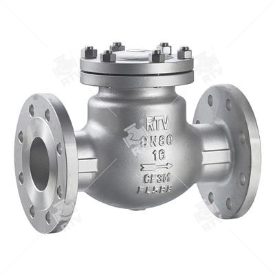 Stainless Steel  PN16 Check Valve