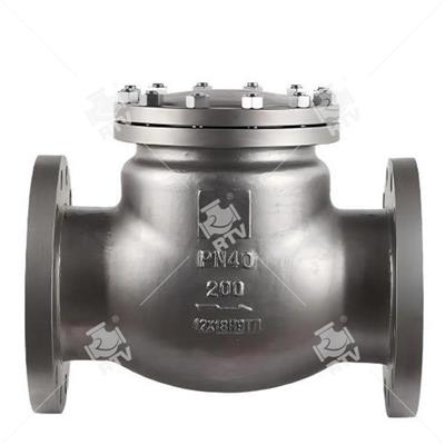 GOST 12X18H9T Check Valve