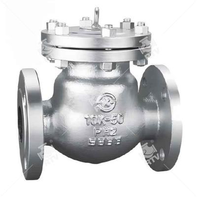 PH2 JIS10K Check Valve