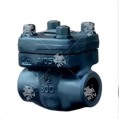 NPT Forged Steel 800LB Check Valve