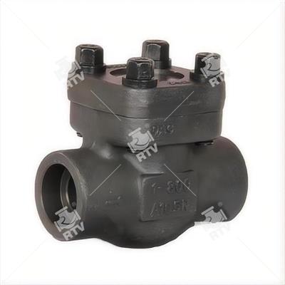 Forged Piston Check Valve