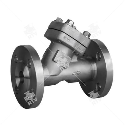 Y Type Check Valve