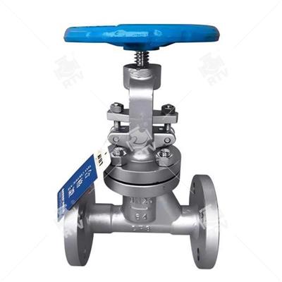 DIN 1.4408 Globe Valve