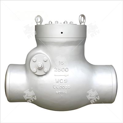 Pressure Seal Bonnet BW Swing Check Valve